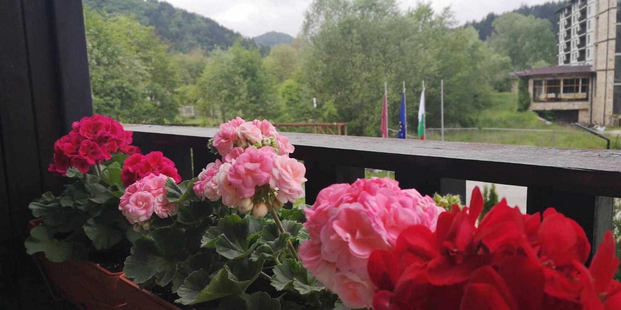 Апартамент И Студия "Спа Вълшебство" Velingrad Dış mekan fotoğraf