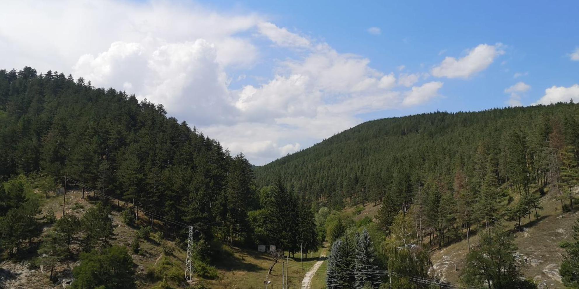 Апартамент И Студия "Спа Вълшебство" Velingrad Dış mekan fotoğraf